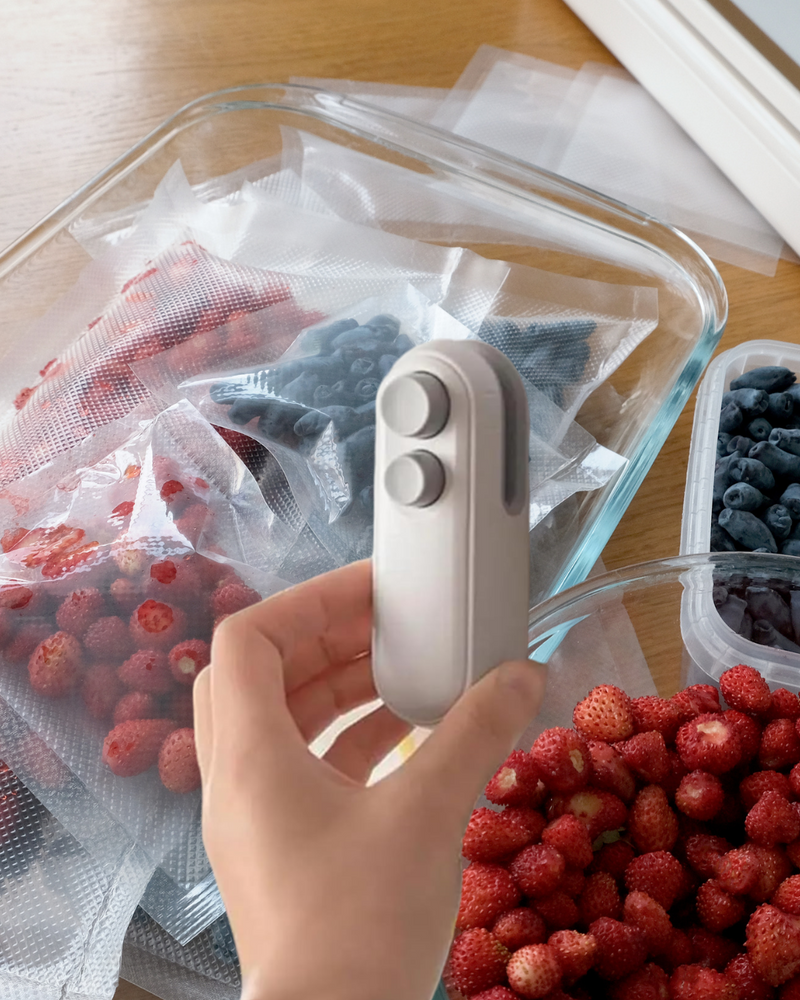FreshLock Mini Sealer